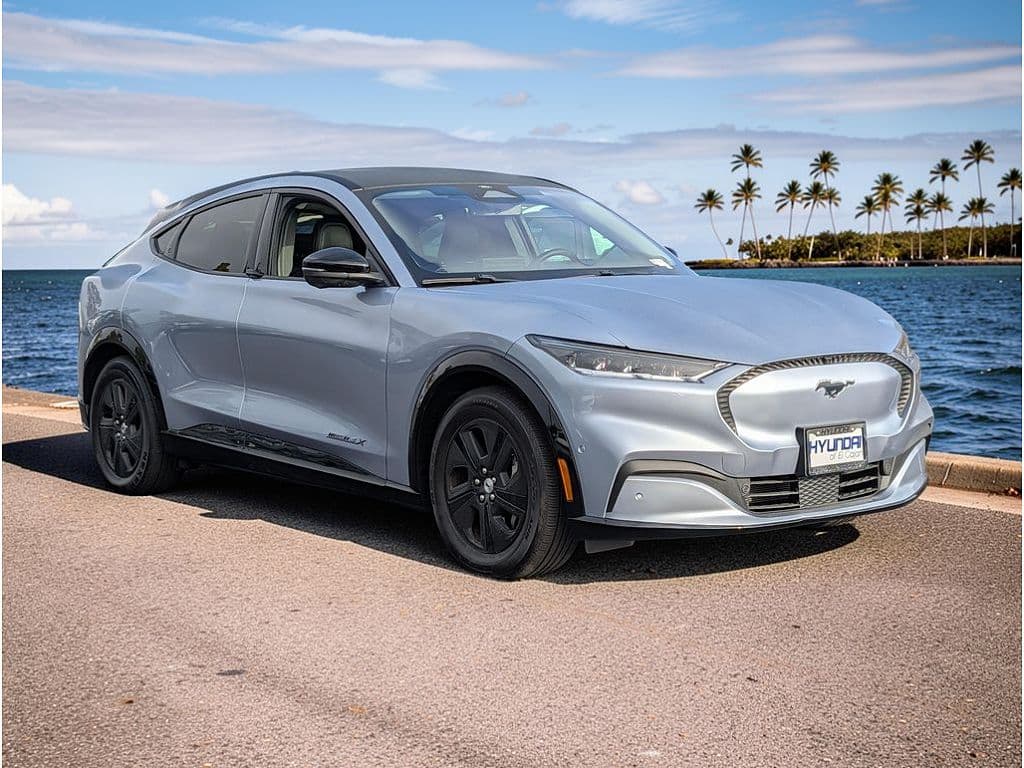 2022 Ford Mustang Mach-E photo 1