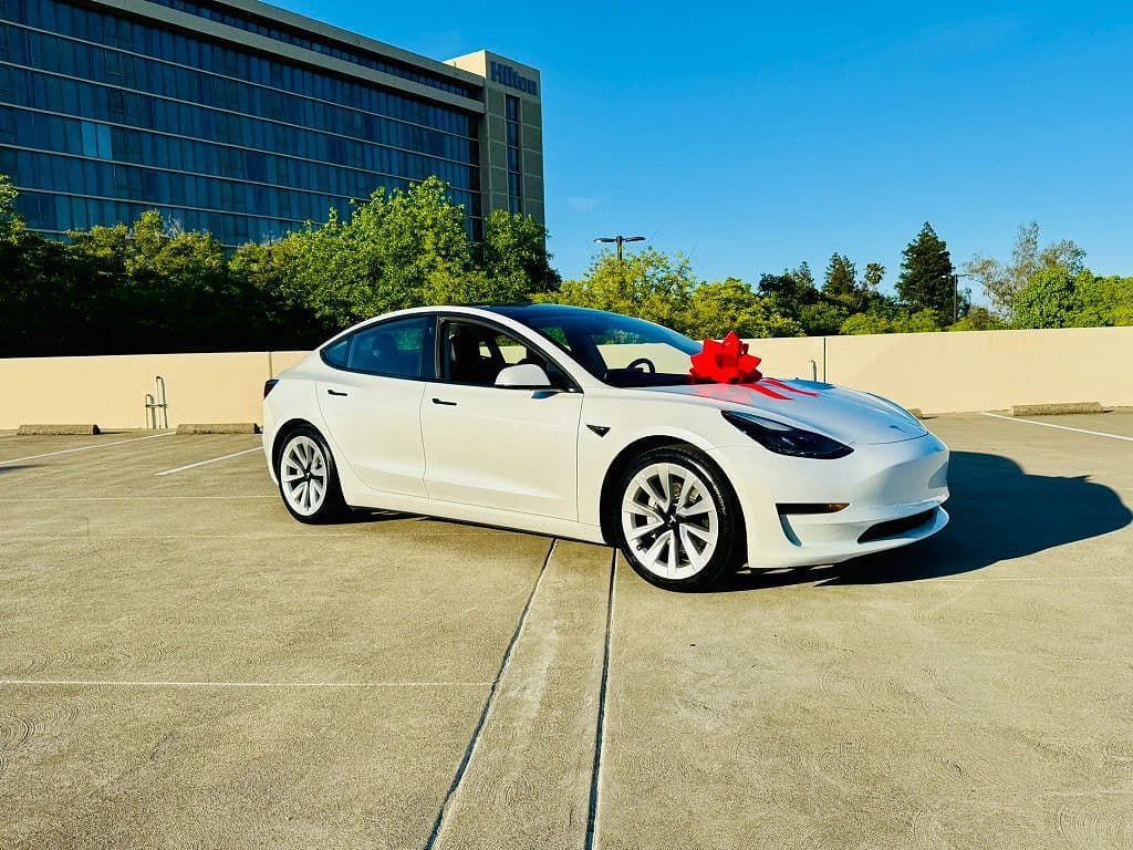 2021 Tesla Model 3 photo 1