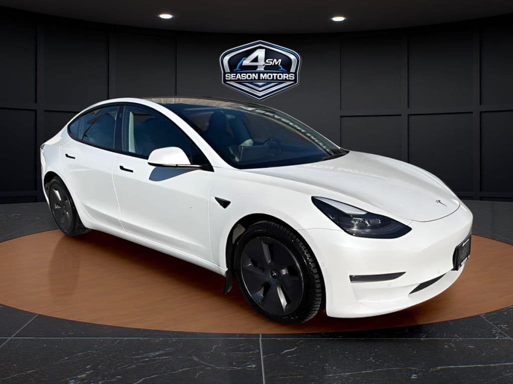 2021 Tesla Model 3 photo 1