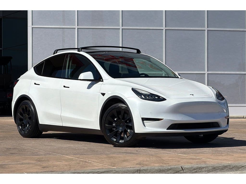 2021 Tesla Model Y photo 1