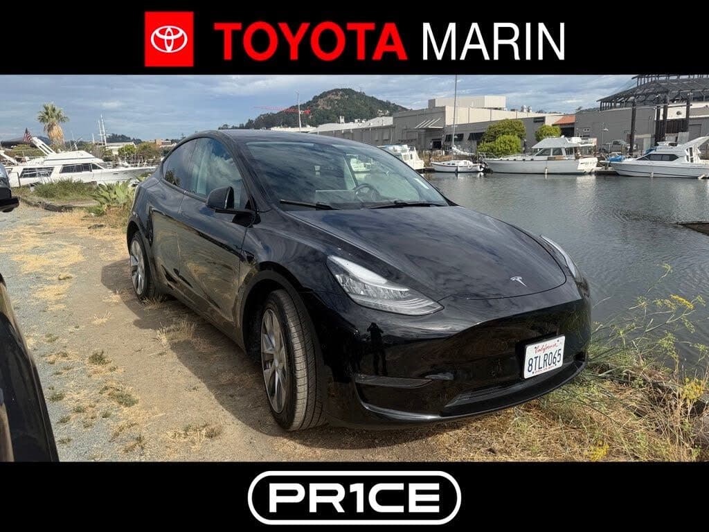2021 Tesla Model Y photo 1