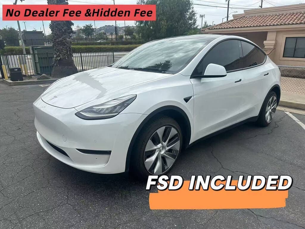 2020 Tesla Model Y photo 1