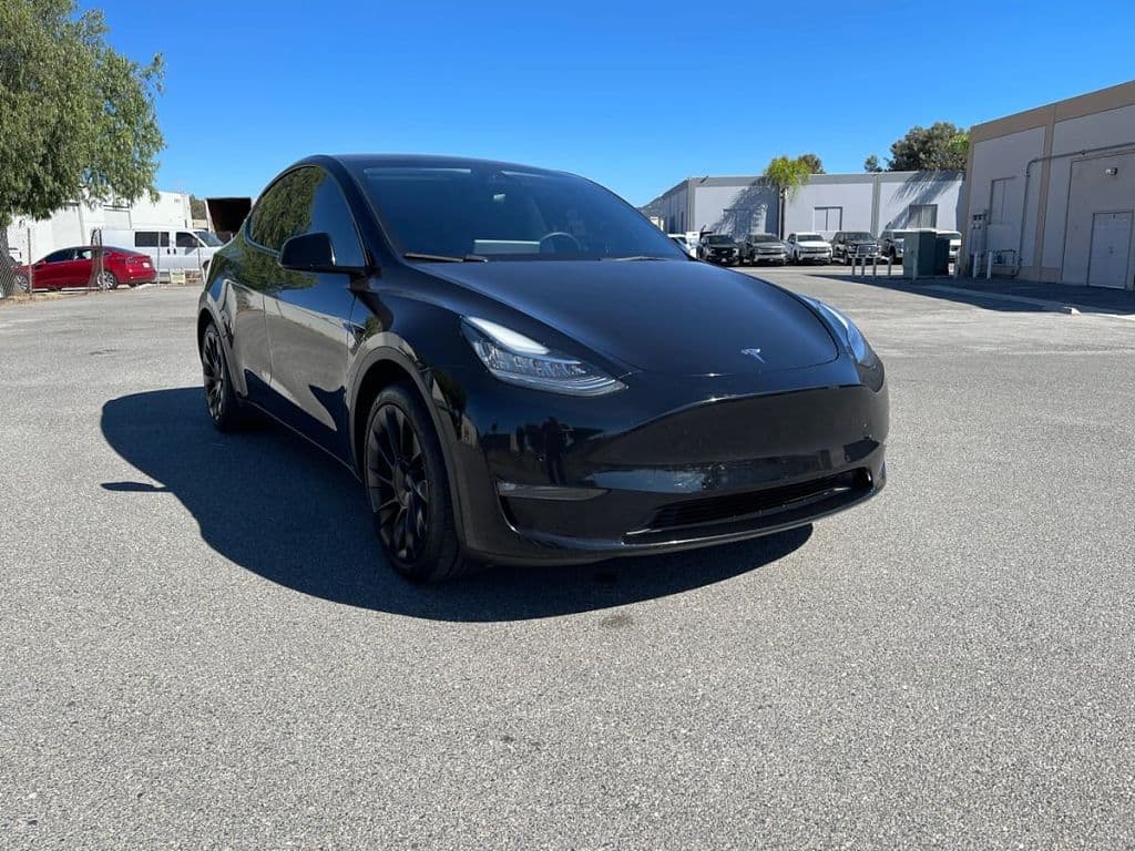 2021 Tesla Model Y photo 1