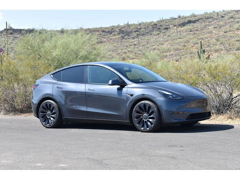 2021 Tesla Model Y photo 1