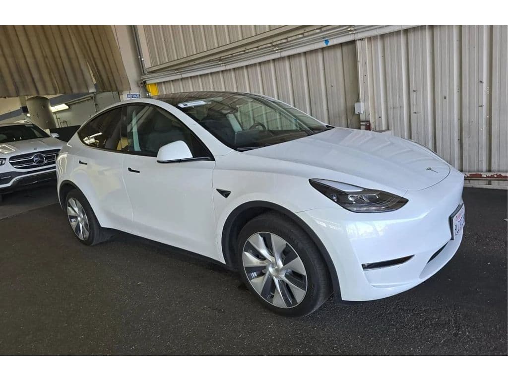2024 Tesla Model Y photo 1
