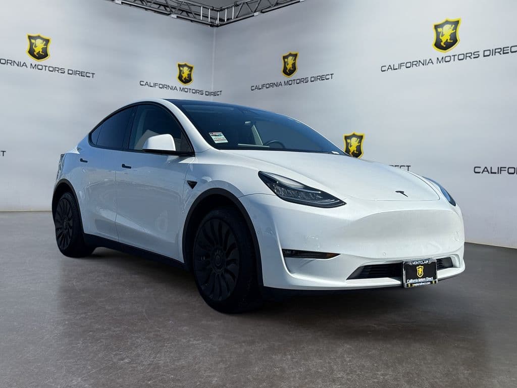 2022 Tesla Model Y photo 1