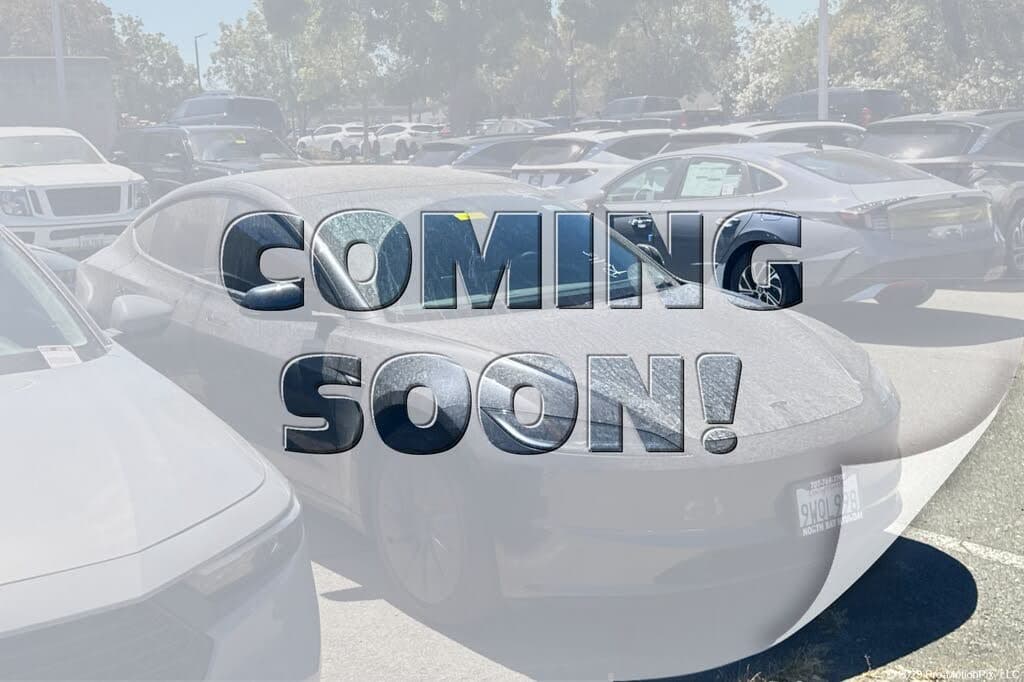 2025 Tesla Model 3 photo 1