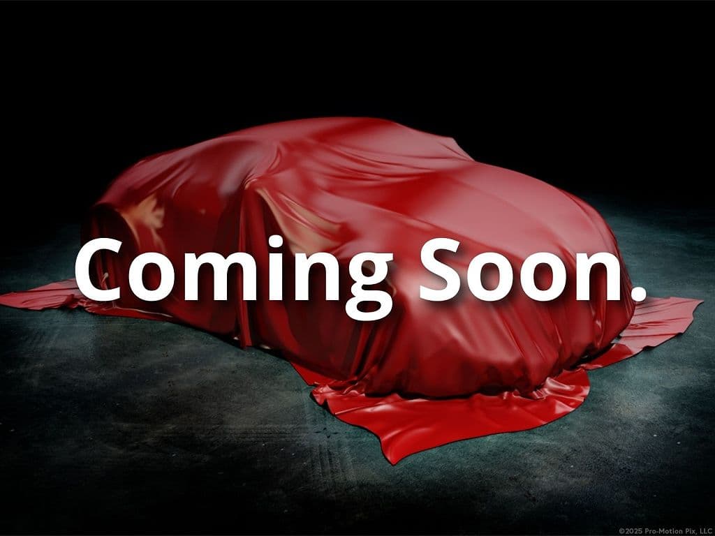 2020 Tesla Model 3 photo 1