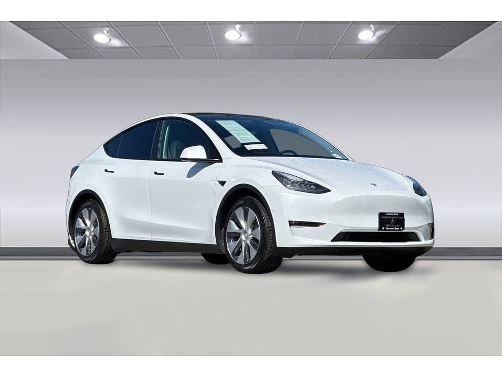 2021 Tesla Model Y photo 1