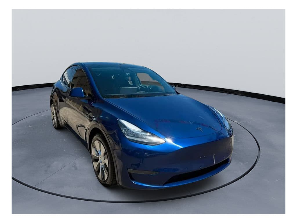2021 Tesla Model Y photo 1