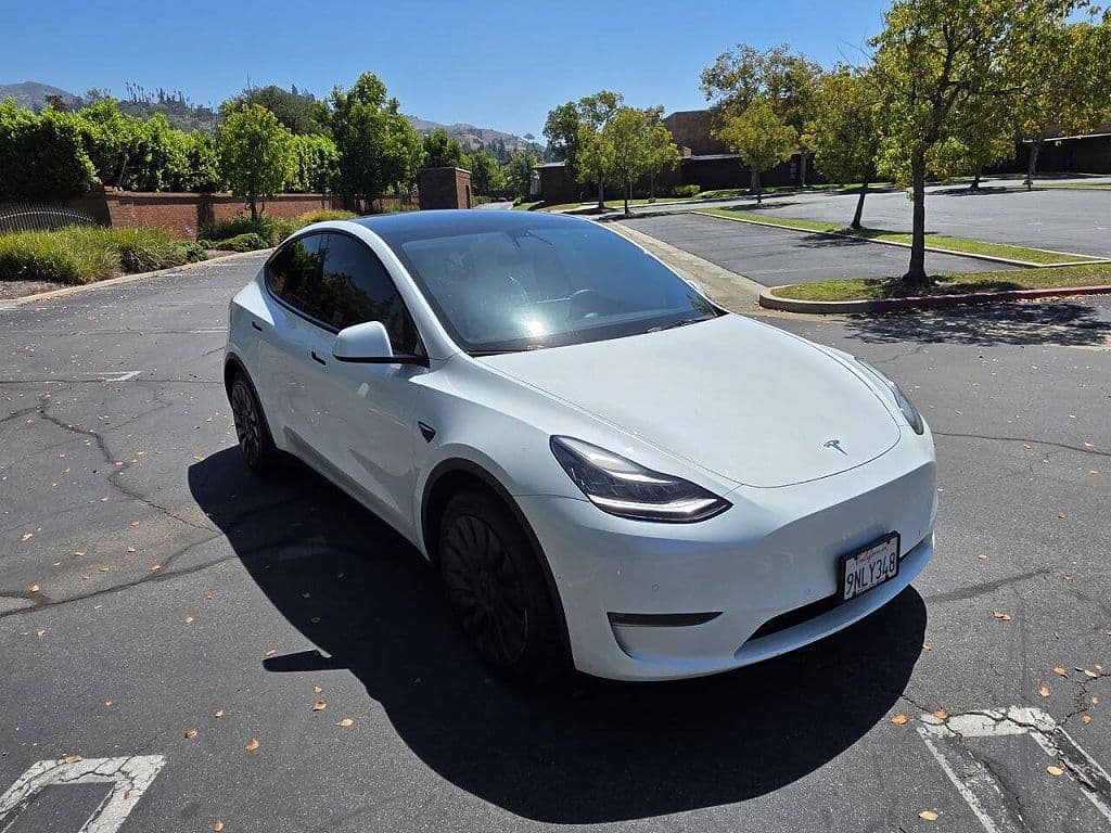 2021 Tesla Model Y photo 1