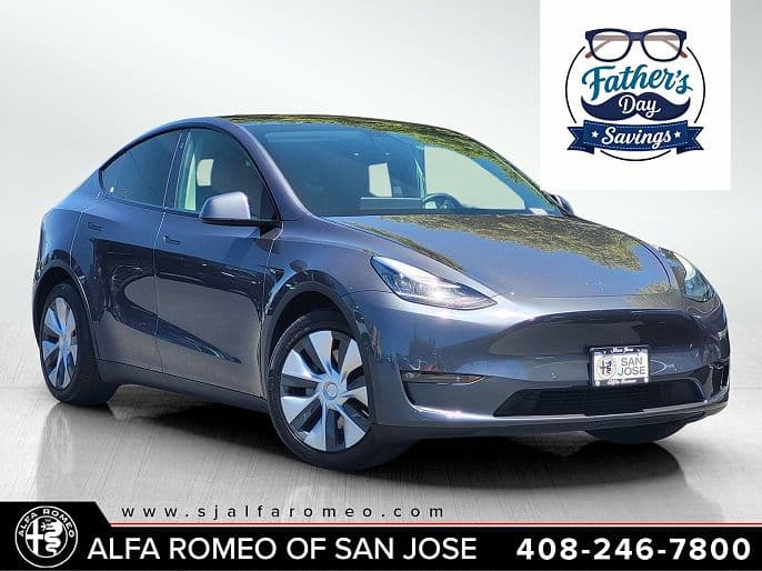 2021 Tesla Model Y photo 1