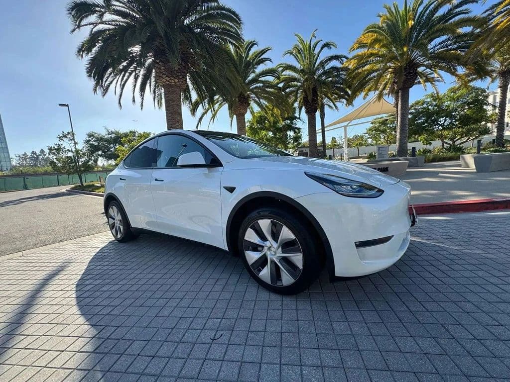 2021 Tesla Model Y photo 1