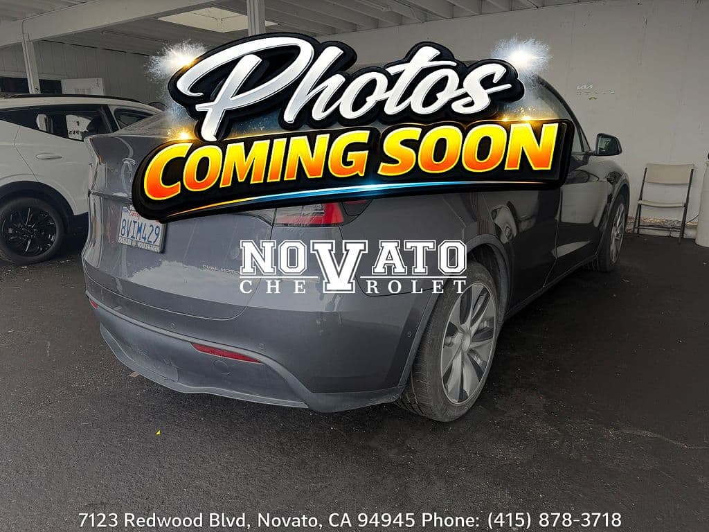 2021 Tesla Model Y photo 1