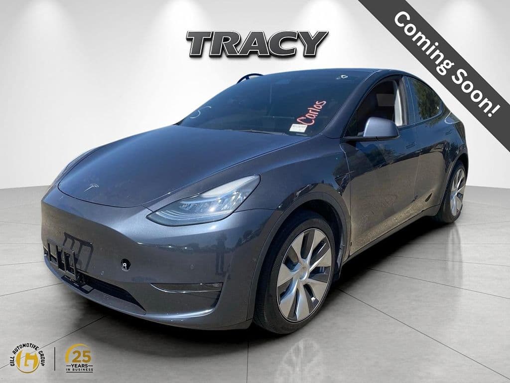 2021 Tesla Model Y photo 1