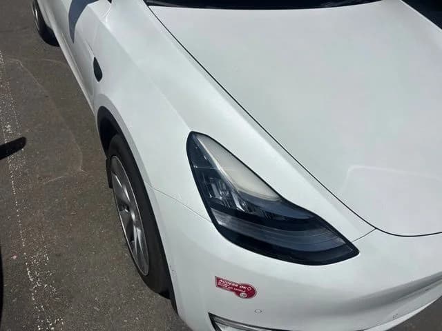 2021 Tesla Model Y photo 1