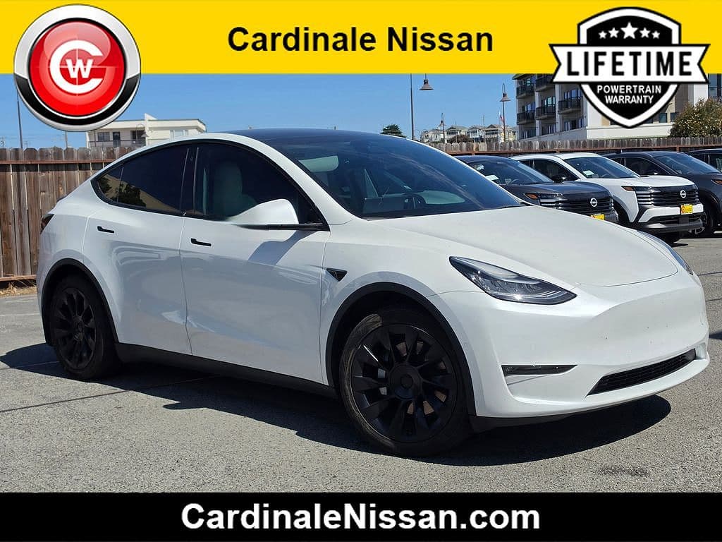 2021 Tesla Model Y photo 1