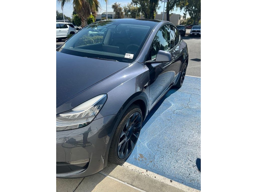 2021 Tesla Model Y photo 1