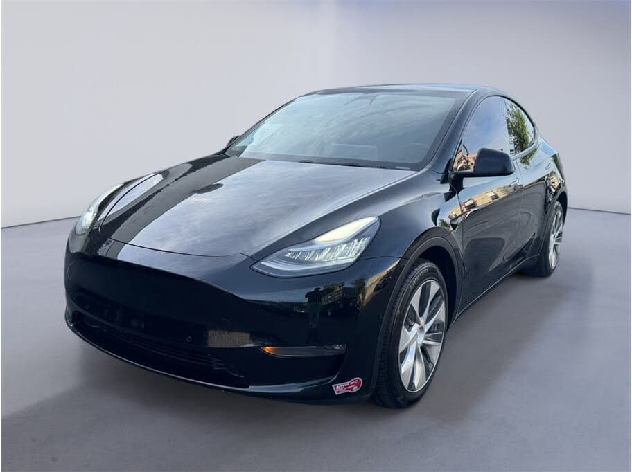 2021 Tesla Model Y photo 1