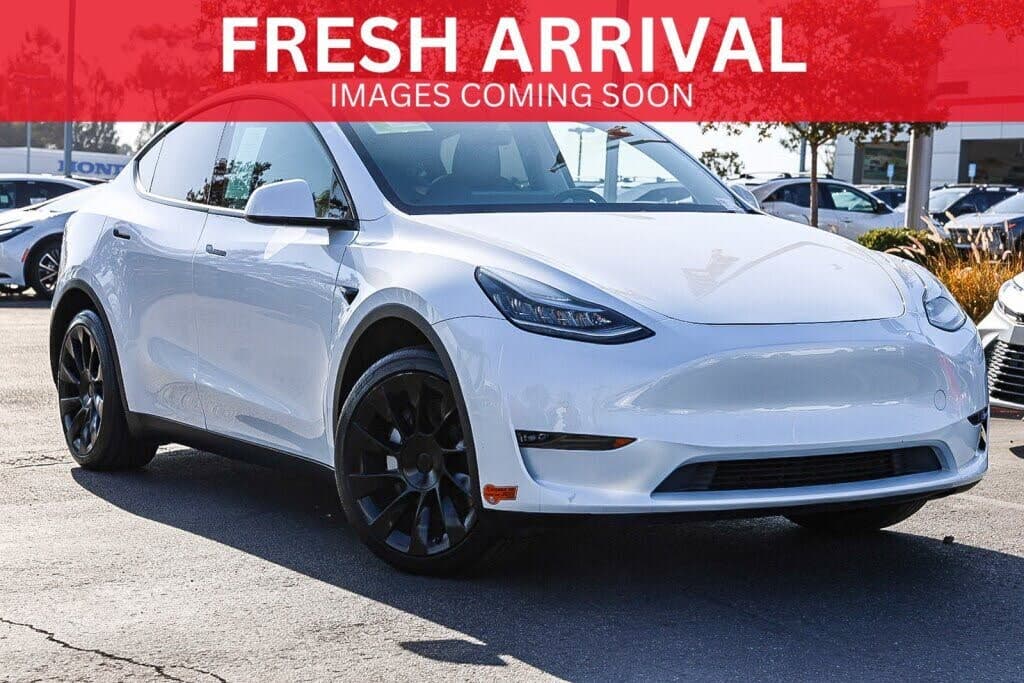 2020 Tesla Model Y photo 1