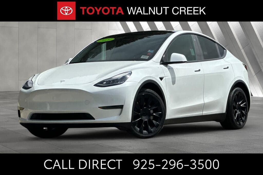 2021 Tesla Model Y photo 1